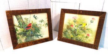 Vintage Pair Of Bird Prints Framed