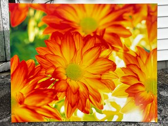 An Original Canvas Print, Fiery Mums Sighed By By Artist Martin Bosshard, COA On Reverse