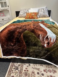 Horse Blanket