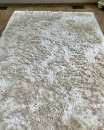 Glamorous Shaggy DYNAMAIC RUGS Whiteish/ Ivory  2 Tone  Area Rug