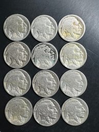 12 Buffalo Nickels Miscellaneous Dates