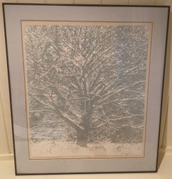 Framed Art Of Tree Signed Lower Right