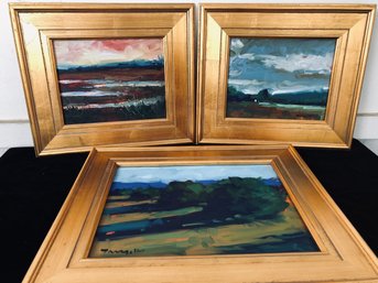 Set Of Three Framed Original Acrylic Plein Air Landscapes - Jose Trujillo