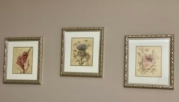 Trio Of Framed Pictures