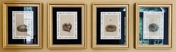 4 Framed Prints - Nests