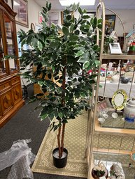 Artificial Ficus Tree