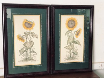 Pair Of Mary Hughes Sunflower Prints