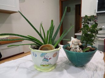 An Aloe Vera And Jade Plant