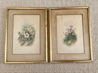 Pair Of 19th Century Botanical Prints