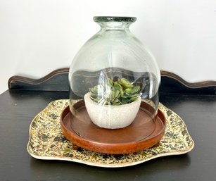 Faux Succulent, Cloche And Tray