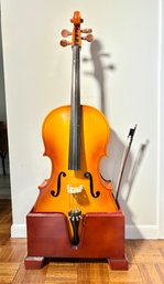 Gorgeous Cello In Case, With Two Bows