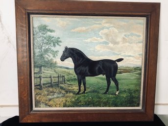 Framed Horse Print