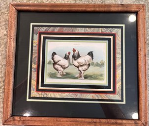 Pair Of Vintage French Rooster Prints