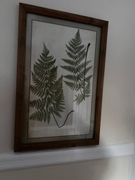 Pressed Fern Leaf Under Glass Framed Wall Hanging