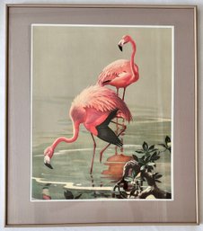 Roger Tory Peterson Vintage Poster, Flamingos, Framed