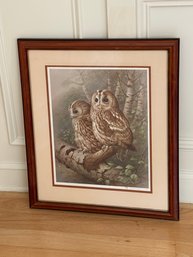 The Tawny Owl By Raymond Watson Framed And Matted Collotype Print, Signed