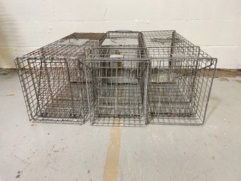 3 Live Animal Traps