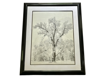 Ansel Adams 'Oak Tree Snow Storm' Offset Lithograph