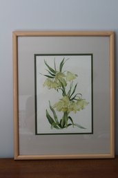 Framed And Matted Fritillaria Askabadensis Decorative Art Pint