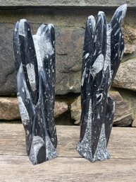 Pair Of Nytra Orthoceras Fossil Towers