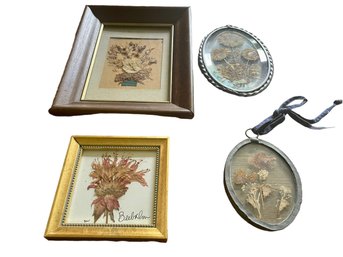 Collection Of Framed Dried Flowers