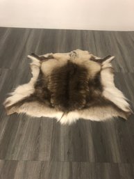 Animal Skin Rug