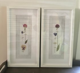 Two Beautiful Pressed Flowers Of Prints In A Wooden Frame Wall Hanging. Deck