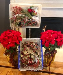 Large Poinsettias And More