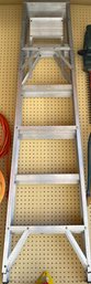 Six Foot Aluminum Ladder