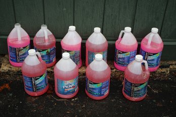 Lot Of Ten RV/Marine Antifreeze