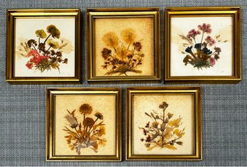 A Collection Of Swiss Pressed Flower Frame Artworks