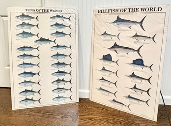 Pair Of Tuna & Billfish Posters