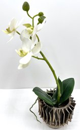 Silk Orchid In Metal Bowl From Barneys New York