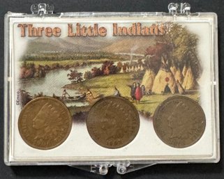 Lot Of 3 Indian Head Pennies In Case