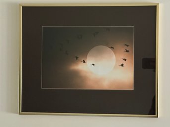 Framed Photo Of Geese Flying
