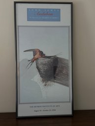 John James Audubon The Watercolors For The Birds Of America Poster In Frame