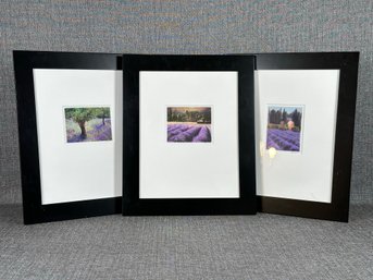 A Trio Of Landscape Prints, Pencil-Signed