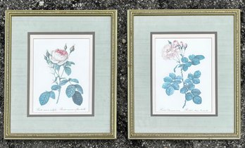 A Pair Of Vintage Botanical Prints