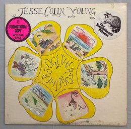 Jessie Colin Young - Together WHITE LABEL PROMO BS2588 VG Plus Hype Stickers