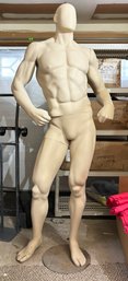 A Male Artist Model - Anatomical
