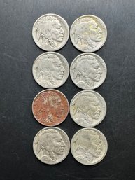 8 Buffalo Nickels 1916, 1920, 1923, 1925, 1926, 1927, 1928, 1929