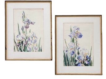 Complimentary Pair Of 1942 Original Watercolor Paintings Of Purple Irises, Signed Bottom Right