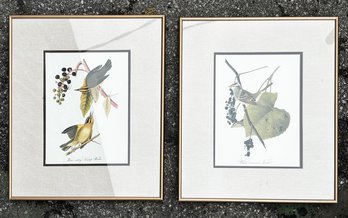 A Pair Of Ornithological Prints