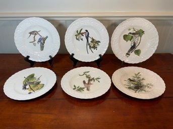 Set Of 6 English Plates With Audubon Birds Of America