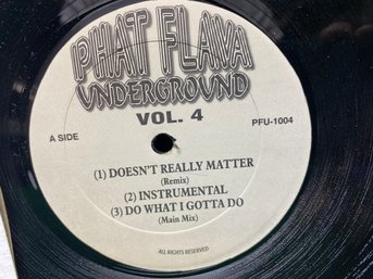 Phat Flava Underground. Vol. 4. Janet Jackson / Unknown Artist On Phat Flava Underground Records.