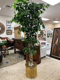 Tall Artificial Ficus Tree In Brass Pot