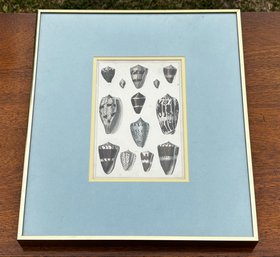 A Vintage Sea Shell Print