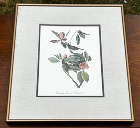 A Botanical Print