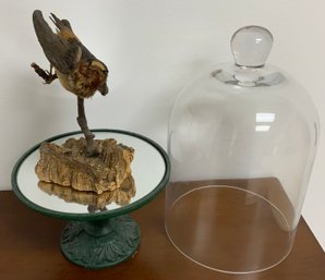 Taxidermy Mounted Bird With Bell Jar Lidded Stand