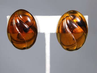 1980s Lucite Plastic Clip Earrings Oval Form